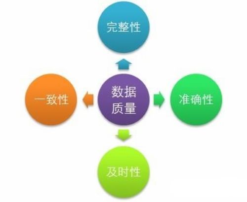 从“一把手工程”到“治理自觉” 论数据文化的赋能与生成